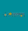 Locksmith Downers Grove logo